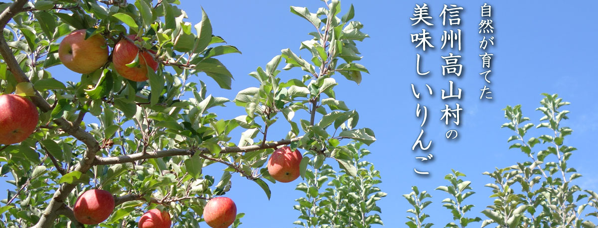 自然が育てた、信州高山村の美味しいりんご