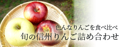 色んなりんごを食べ比べ 旬の信州りんご詰め合わせ