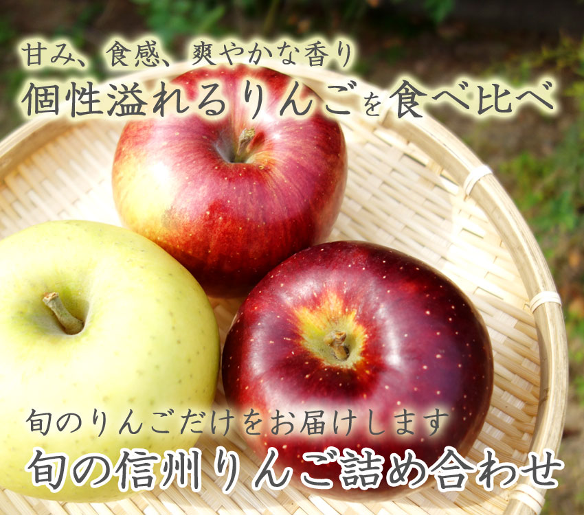 旬の信州りんご詰め合わせ | 信州高山村のりんごとぶどうを直売 片桐果樹園